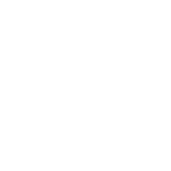 Consulting Expertise Consulting Expertise