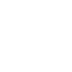 Rapid Value Creation Rapid Value Creation